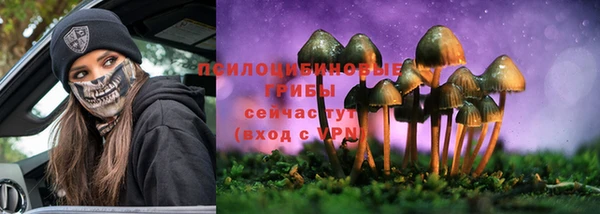 соль курить ск Богородицк